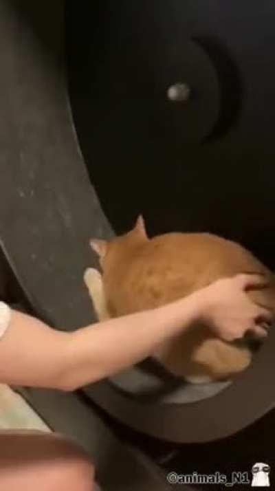 Enough training for today