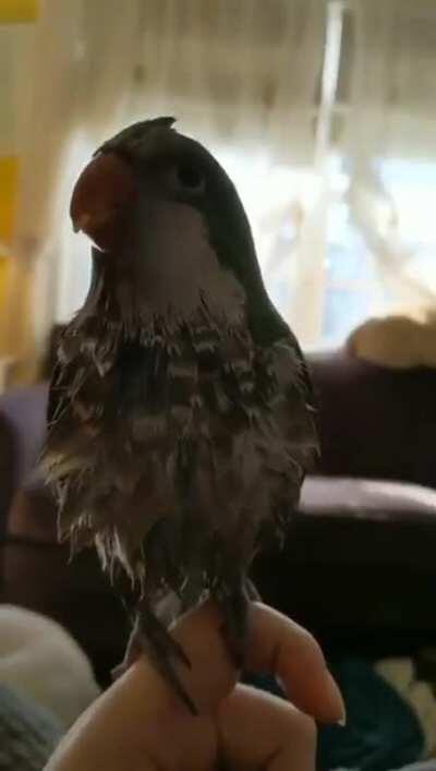 [NSFW] 2020, in a nutshell