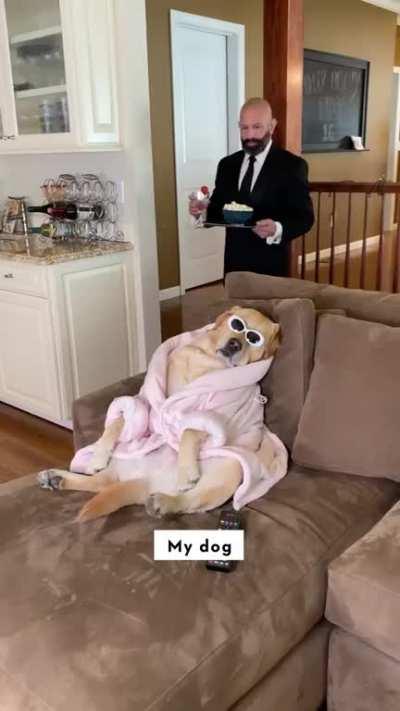 He gets treated like royalty haha 👑