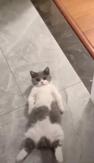 Lying down on the cold tile floor after a tiring day