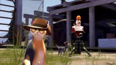 Entire team is kitties