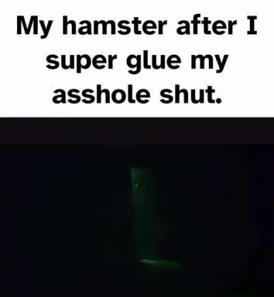Loser hamster 