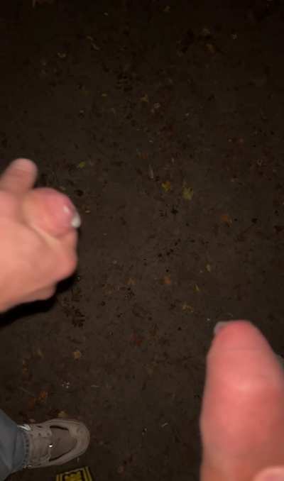 Vanavond maar weer wandelen buiten (22)