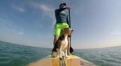 paddling with hashtag