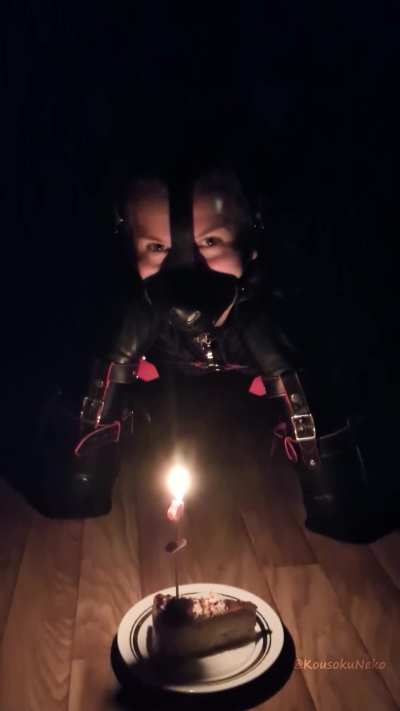 Birthday time for the little pup 🐶💕