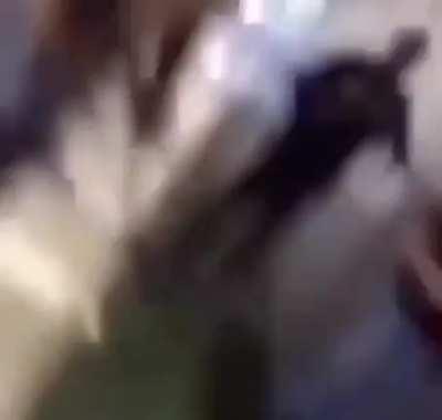 I would’ve moved schools after this…