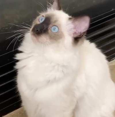 He has seen things…