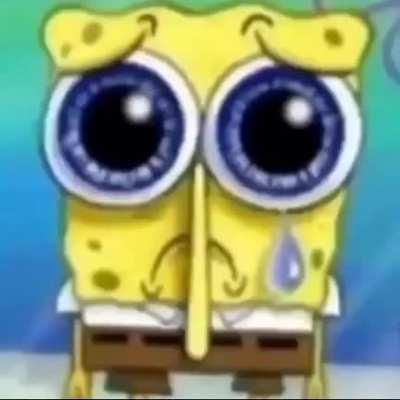 beelce viendo como lo shipean con rakkun