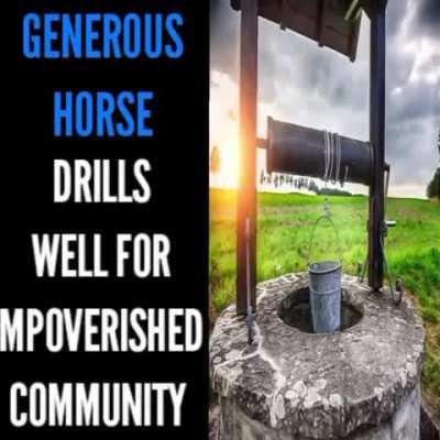 Losercity Generous Horse