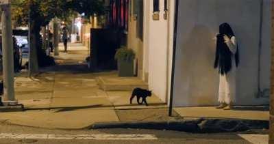 Black cat gets spooked by a halloween costume