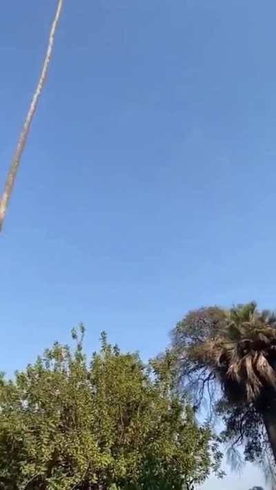 The crazy lumberjack