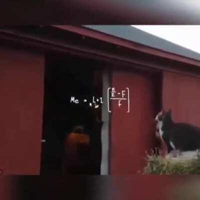 Your physical performance is not as good as math