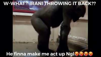 Persian boys😍😍