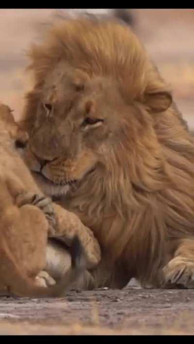 Tender moment with the King