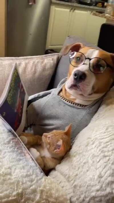 They are one unit... that's why they make a wonderful moment