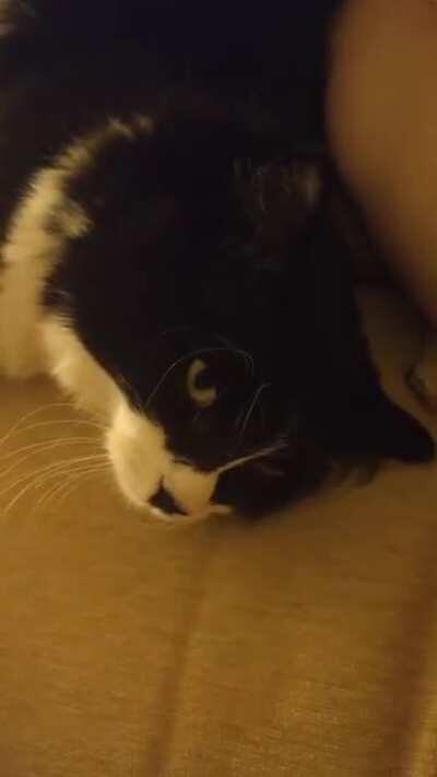 Sterling Archer loves a long and thoughtful squeakversation