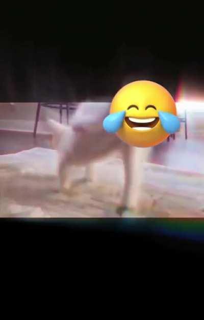 my first attempt at a lobotomycore edit how did i do