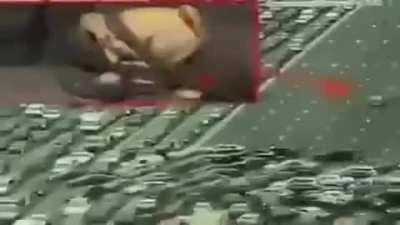 posting a Neco Arc meme every day: Day 17