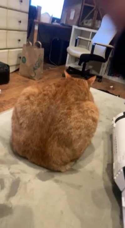 So that’s where the power button is