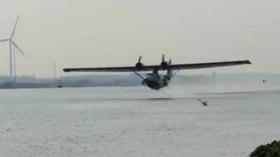 Catalinas are so gorgeous 🛩