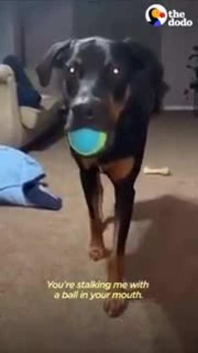 Your Stalking Best Friend.