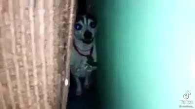 Juan Carlos 😡😡🥵🖕🤢😡🥵🖕🥵🖕🥵