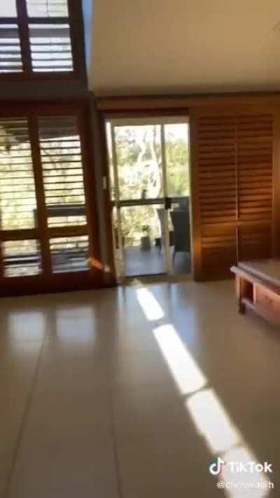 Offering pasta to a government drone