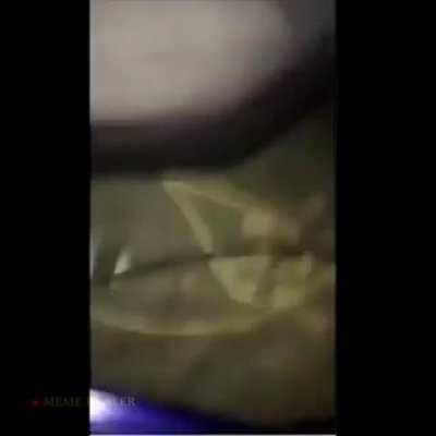 “Dude What The Fuuuuuck!”