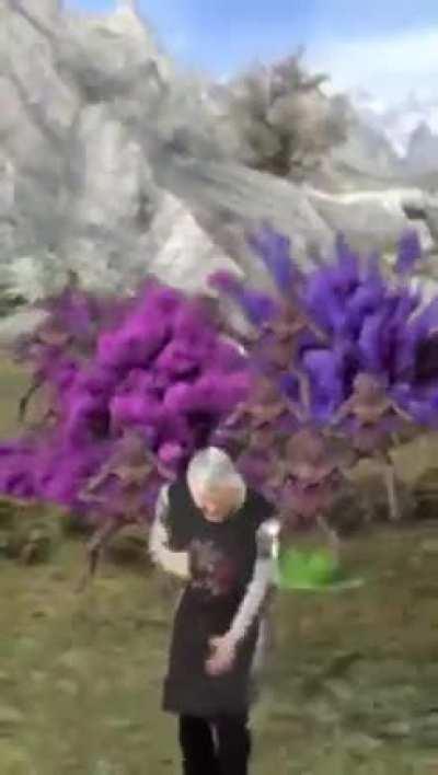 When the first light of the fifth day comes and you look to the east.