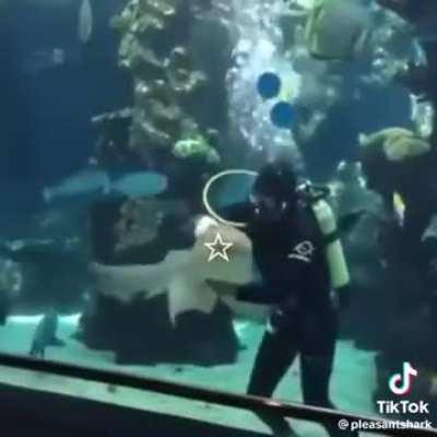 The sharks have historically been our natural allies, but the fed propaganda got us fearing sharks. Do not fall for it. I repeat, DO NOT FALL FOR IT!