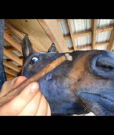 this shit goes kinda hard