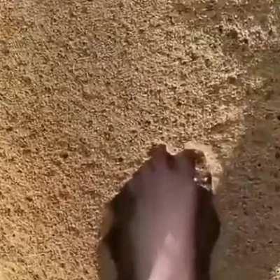 moment before disaster