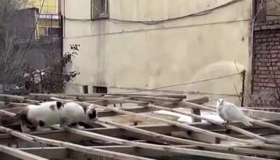 Oh..hey there. Umm..have a good day