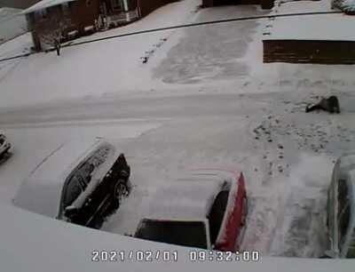 Neighbor shooting over snow outside wilkes barre PA; NSFL/NSFW