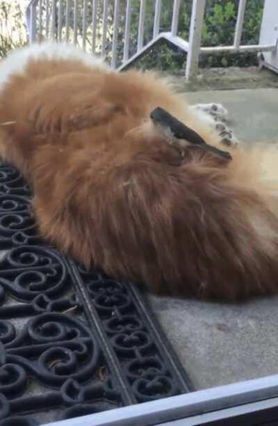 Time to Build the Nest