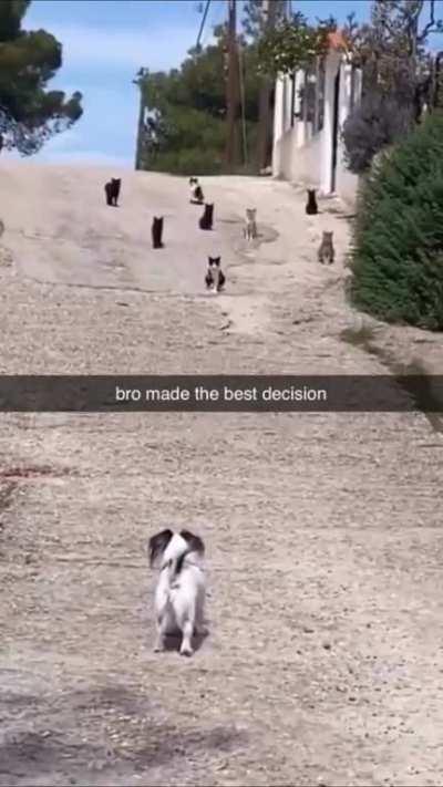 Bro made the best decision
