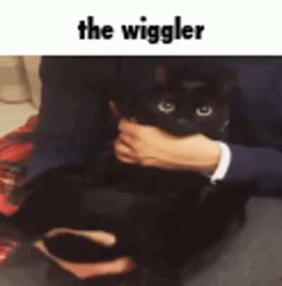 Tge wiwggidiodjbellererererer.