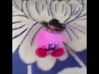 RandomVideos - Video #3525