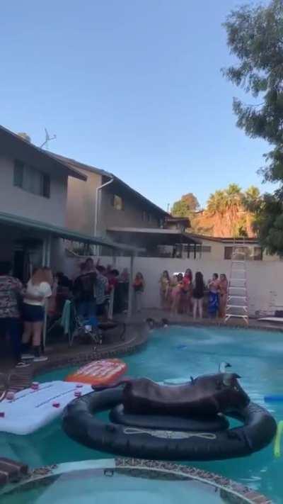 I just wish someone stopped the music right as they jumped