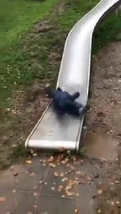 Suitcases at the airport be like