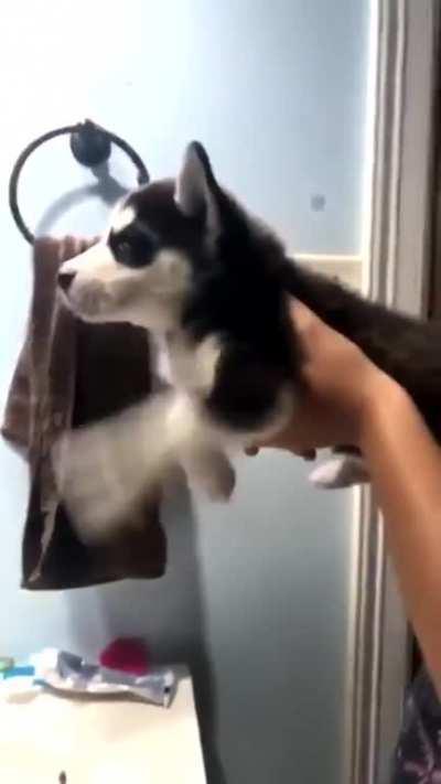 Just the sound of water and he is off to the races