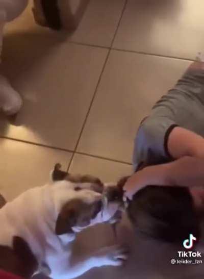 Sígueme chingando HDTPM!