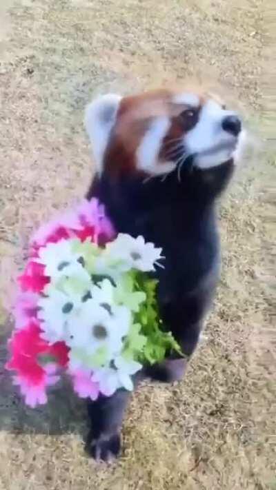 This is just so wholesome