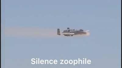 Furries get the brrrrrrrrt, not the pets