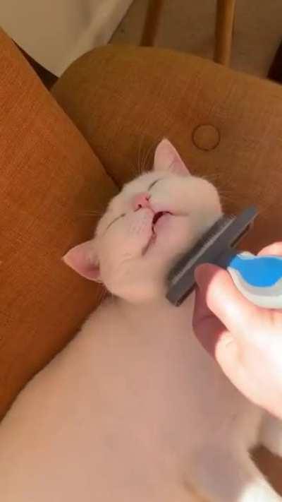 Pampering my best friend