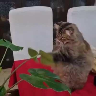 Утренняя зарядка. Он смог и ты сможешь!