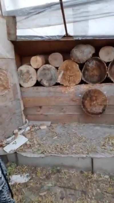 Мастер метания