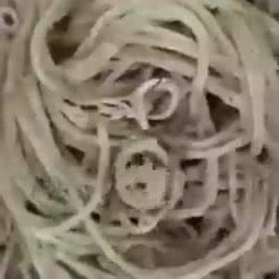 Will smith spaghetti 