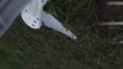 Angry Sturgians don't like the noise from drone(2016)