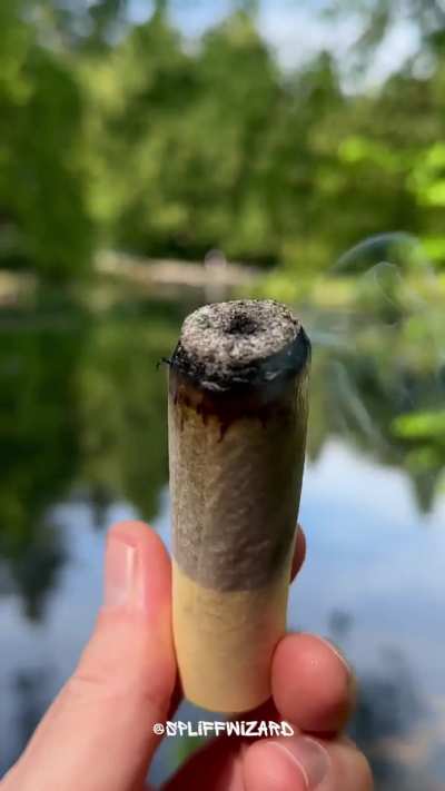Picnic Donut in the park. Made filter, rolled 6grams MoonStone bud, & 1gram Oishii Badder